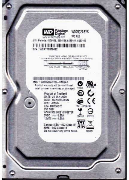 WESTERN DIGITAL RE3 *ENTERPRISE STORAGE* 250GB 7200RPM SATA HARD DRIVE
