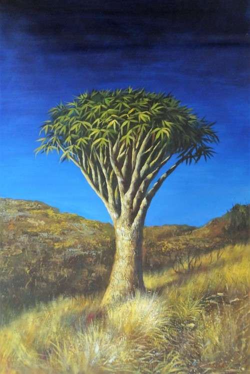 OIL ON CANVAS - ON SPECIAL