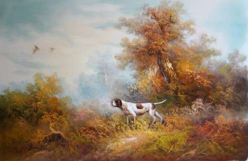 HUNTING DOG SETTER - ON SPECIAL