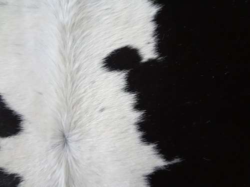 NGUNI COW HIDE - RETAIL R6 500