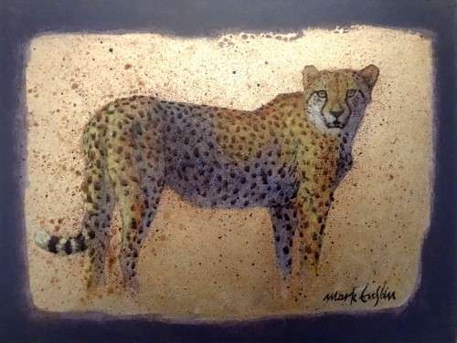MARK ENSLIN  -  GALLERY RETAIL R3 950 - CHEETAH