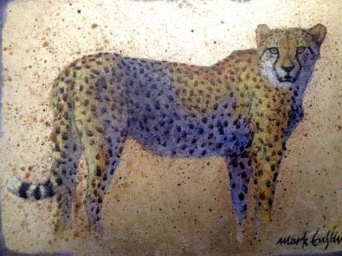 MARK ENSLIN  -  GALLERY RETAIL R3 950 - CHEETAH