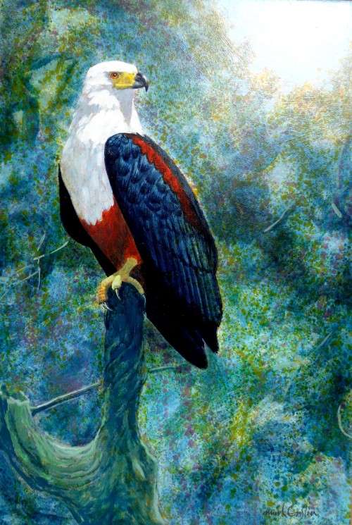 MARK ENSLIN OIL PAINTING -  FISH EAGLE - GALLERY RETAIL R14 000