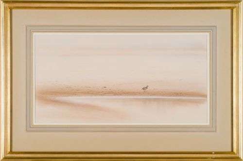 paul bosman - egyptian geese