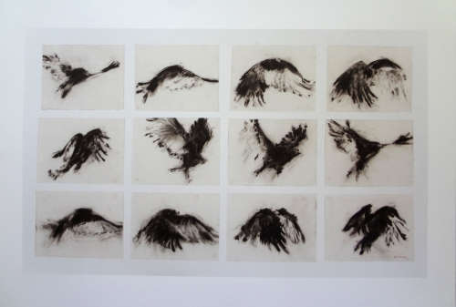 WILLIAM KENTRIDGE - BIRD IN FLIGHT