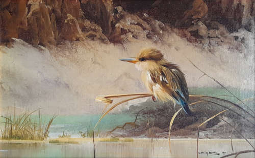 craig bone - internationally acclaimed wildlife artist