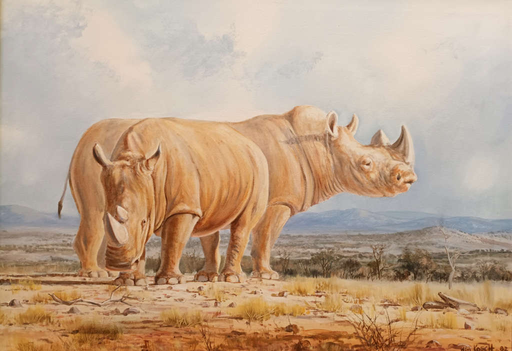 wim kosch wildlife art rhinos oil painting