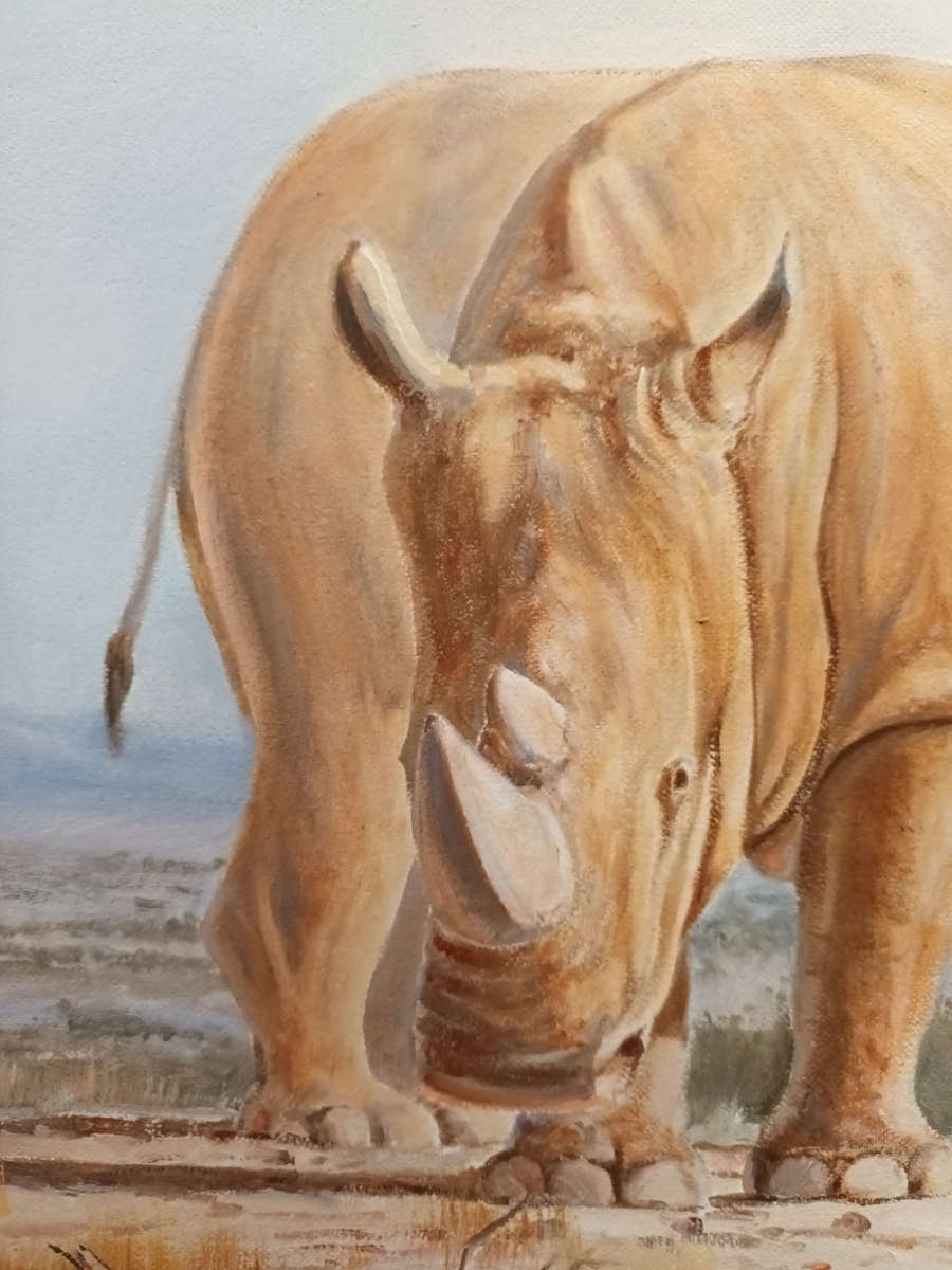 wim kosch wildlife art rhinos oil painting