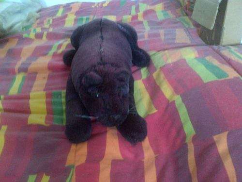 LARGE PANTHER BAGHEERA?