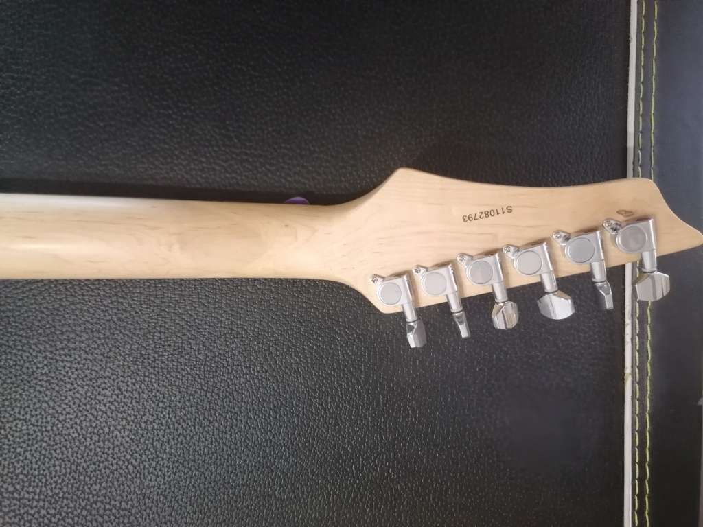 Washburn HSS Style Electric Guitar in Santa Fe solid carry case