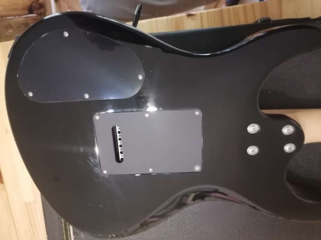 Washburn HSS Style Electric Guitar in Santa Fe solid carry case