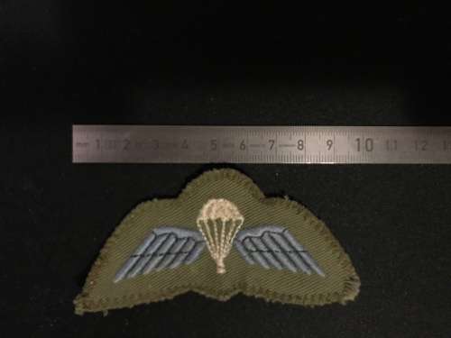 Rhodesian Army paratrooper wings, camo dress