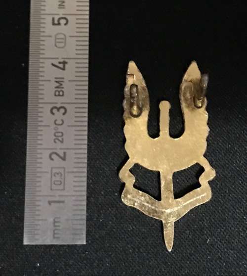 Rhodesian SAS `C` Squadron Beret Badge