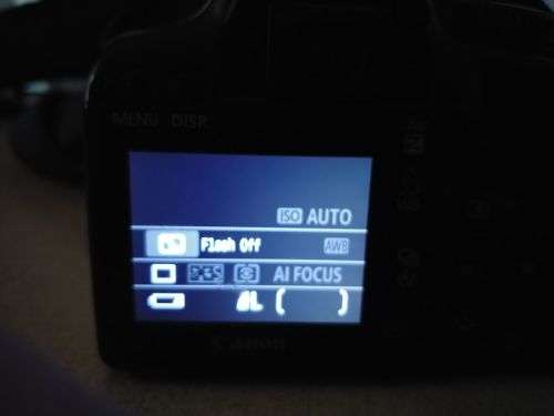 Canon 1000D DSLR Bundle - Free Courier Delivery!