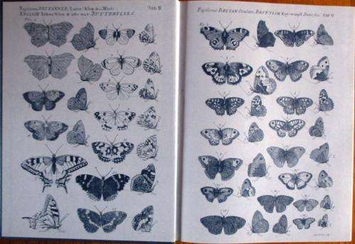 The Aurelian Legacy British Butterflies and Their Collectors : Michael A Salmon