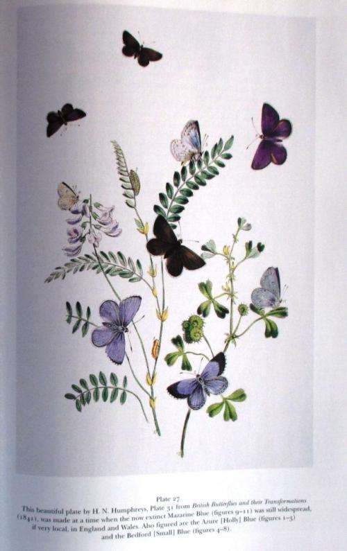 The Aurelian Legacy British Butterflies and Their Collectors : Michael A Salmon