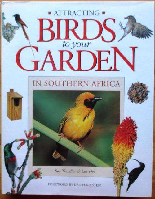 Attracting Birds to Your Garden in Southern Africa