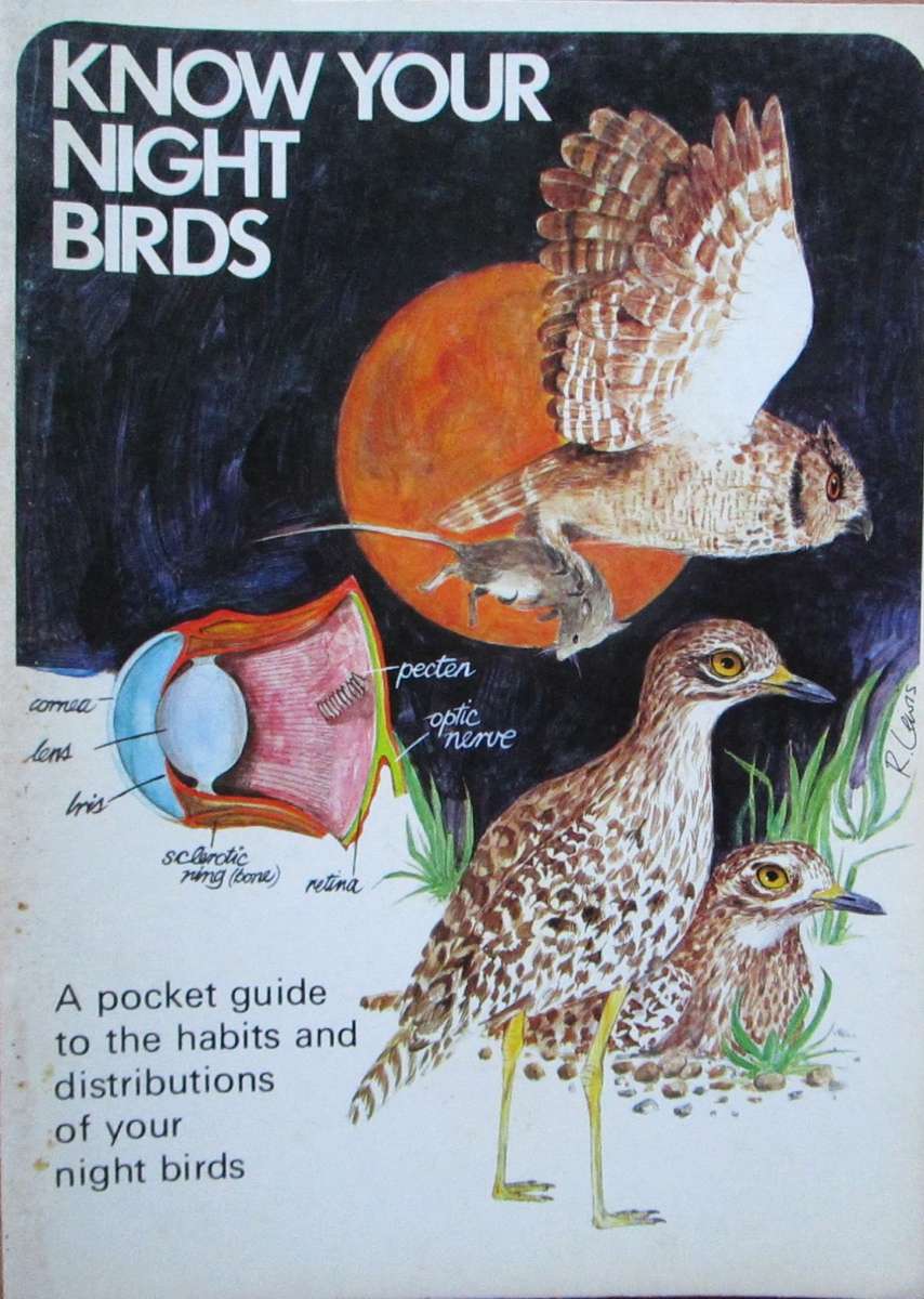 Know Your Night Birds