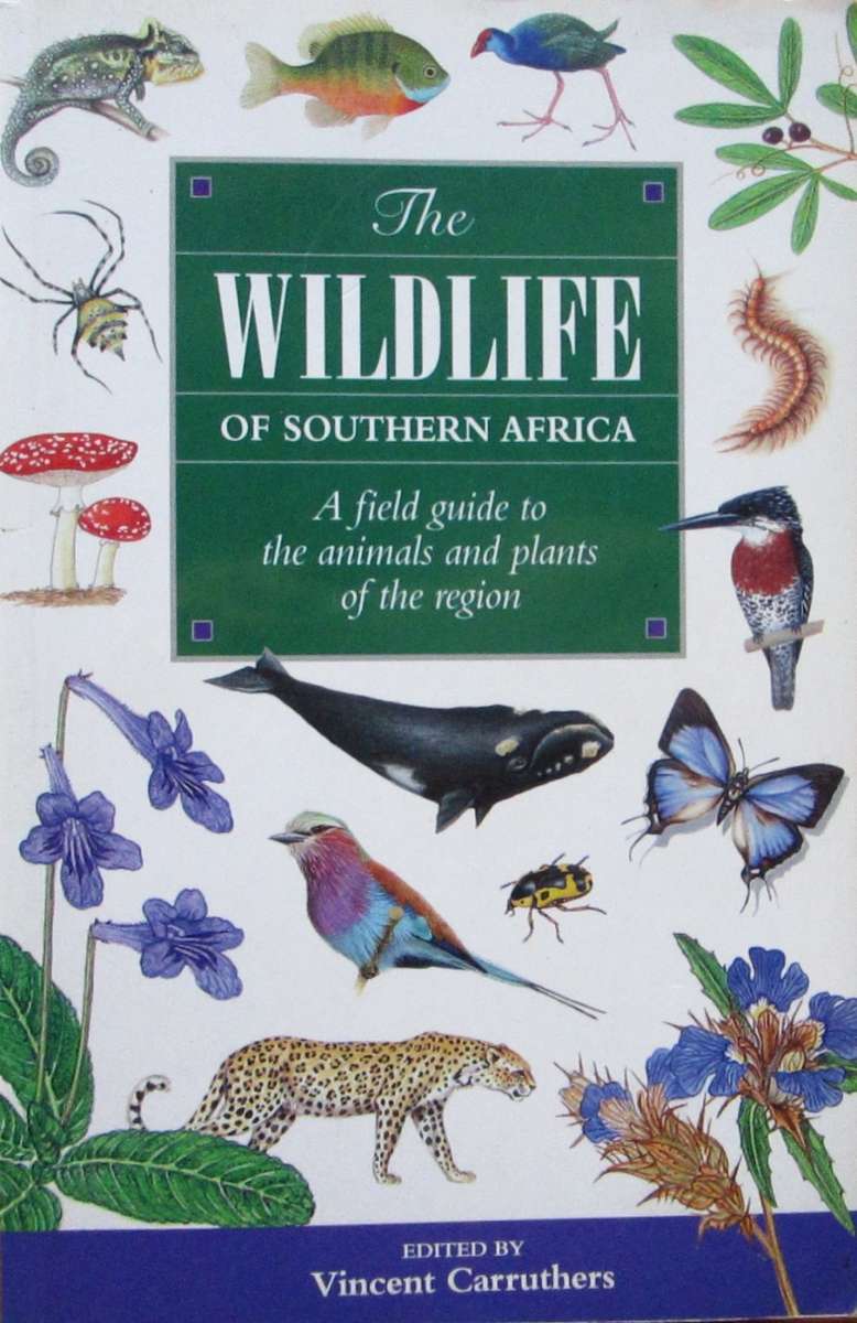 The Wildlife of Southern Africa : A Field Guide to the Animals and Plants of the Region