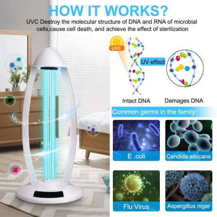Ultraviolet sterilization lamp with ozone UV disinfection