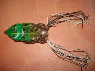 FROG_WEED_FLOATING_GREEN