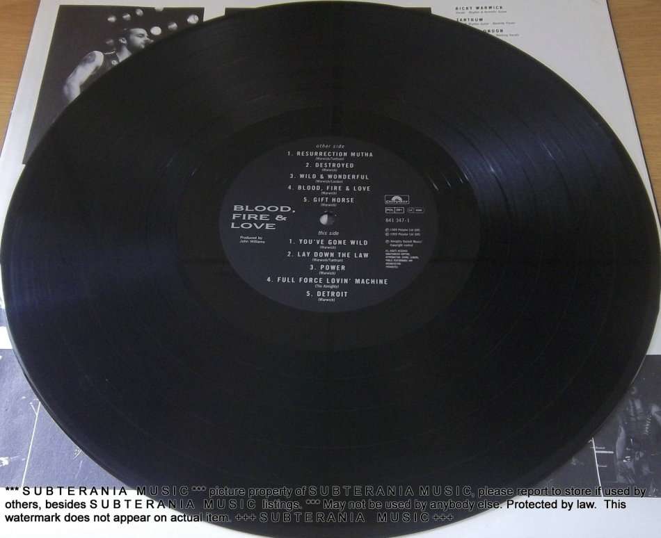 THE ALMIGHTY  Blood, Fire and Love  Vinyl LP