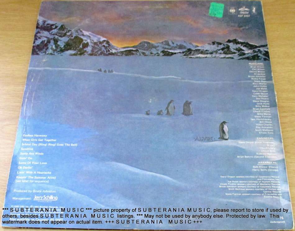 THE BEACH BOYS Keeping the Summer Alive VINYL RECORD