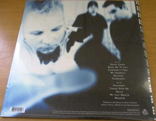 EVANESCENCE Fallen 2017 European Pressing VINYL LP Record