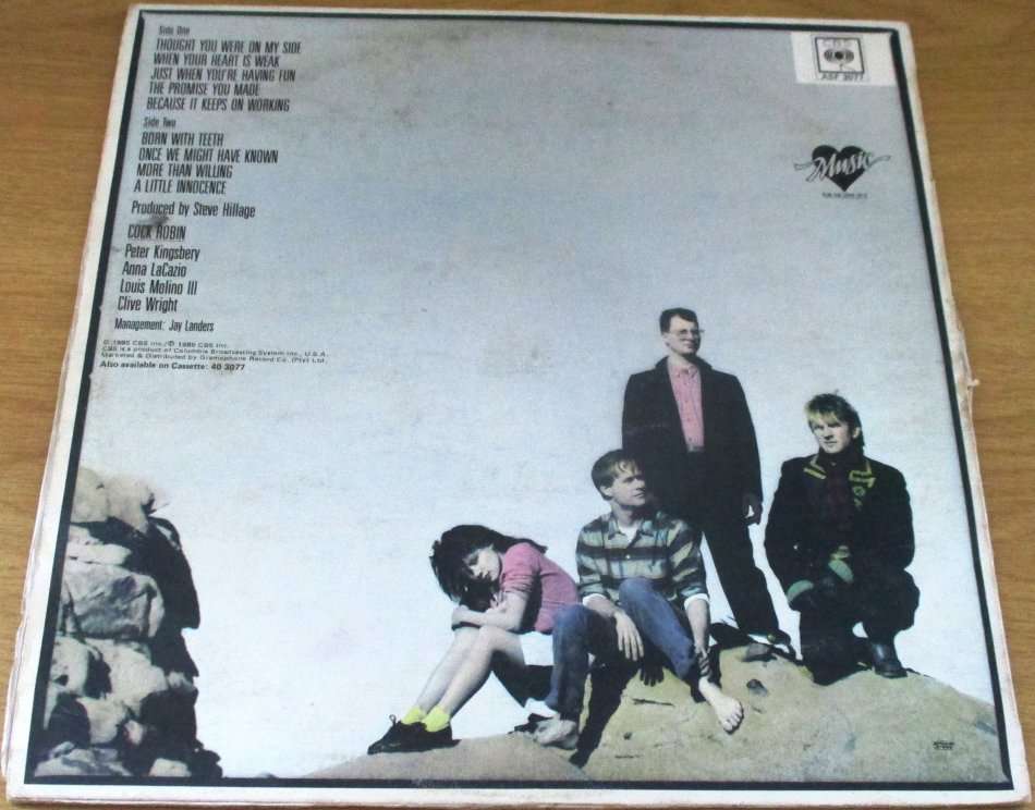 COCK ROBIN Cock Robin South African Pressing VINYL RECORD