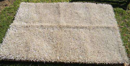 CRAZY R1 N.R ! * Rugs to Riches * Persian Rugs Gallery * Shabby India 180cm x 120cm with Certificate