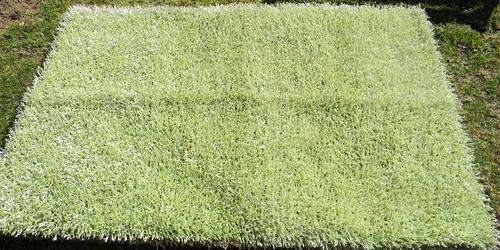 CRAZY R1 N.R ! * Rugs to Riches * Persian Rugs Gallery * Shabby India 180cm x 120cm with Certificate