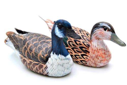 Set of 5 Hand Carved Mallard Ducks, 1970's Collectors Item