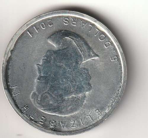 2 Silver coins - SA Protea banking and Candian 5 Dollar