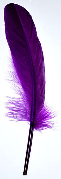 Dark Purple feathers   (5pcs)