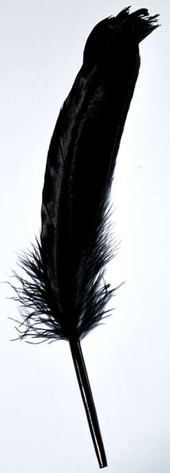 Sale!!  Black feathers   (5pcs)