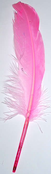Light Pink feathers   (5pcs)