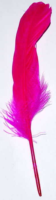 Cerise pink feathers   (5pcs)