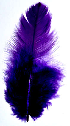 Small Dark Purple feathers   (10pcs)