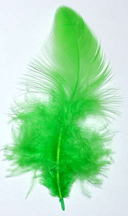 Small Bright green feathers   (10pcs)