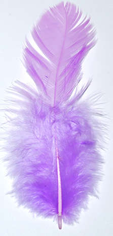 Small Light Purple feathers   (10pcs)
