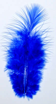 Medium Dark blue feathers   (5pcs)