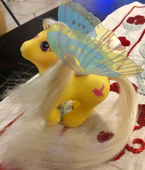 G1 Vintage My Little Pony - Summerwing - Little Flitter