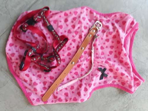 ROGZ H-HARNESS, COLLARS ETC.