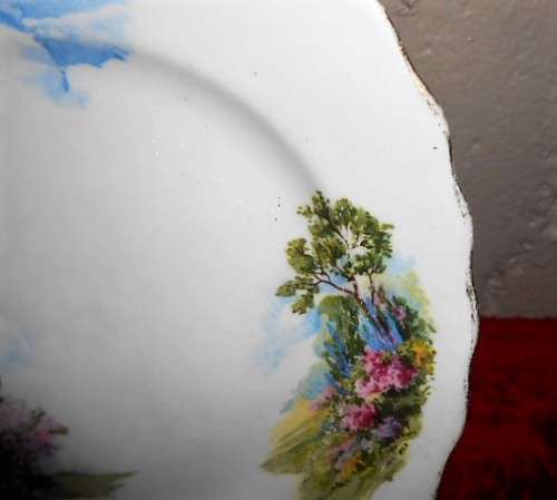 Royal Vale Bone China Side Plate Country Cottage ¿ B7