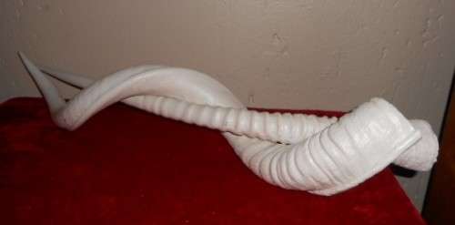 REAL  KUDU and GEMSBOK (ORYX ) HORNS. CENTRE PIECE