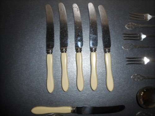 Gorgeous Boxed Genuine Bone Handle  & Plated Fruit Set. Dessert spoons, Forks, Knives c13