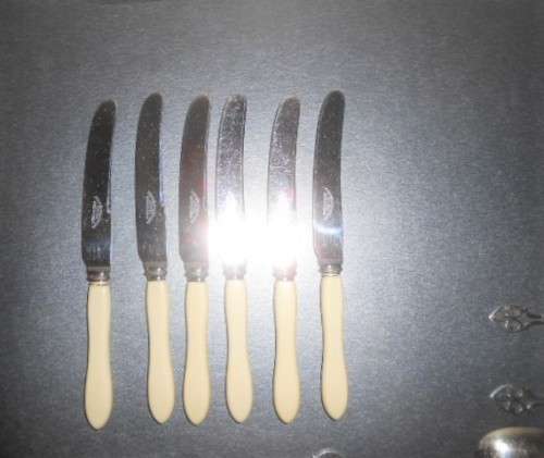 Gorgeous Boxed Genuine Bone Handle  & Plated Fruit Set. Dessert spoons, Forks, Knives c13