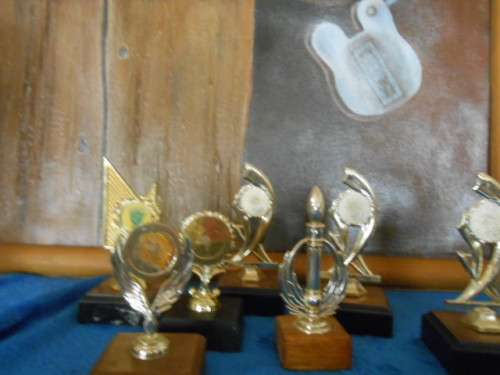 7 SMALL TROPHIES ON WOODEN BASES - PLASTIC TROPHIES 3