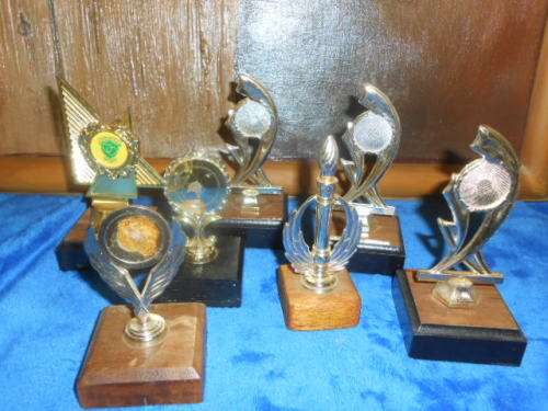 7 SMALL TROPHIES ON WOODEN BASES - PLASTIC TROPHIES 3