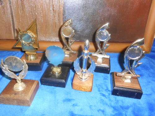 7 SMALL TROPHIES ON WOODEN BASES - PLASTIC TROPHIES 3